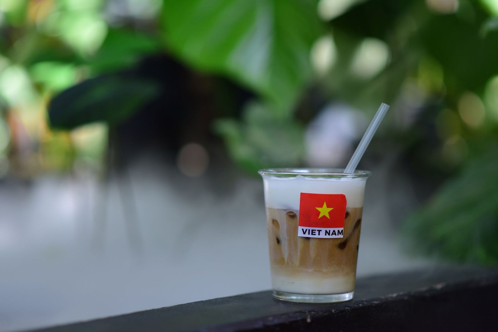 Soleil de Saigon, cuisine Vietnamese à Montréal